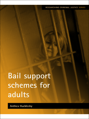 cover image of Bail support schemes for adults